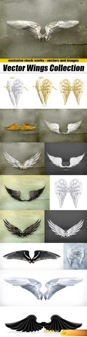 Vector Wings Collection – 15x EPS