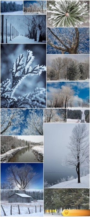 Canadian winter 16X JPEG