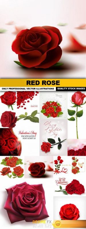 Red Rose – 15 Vector