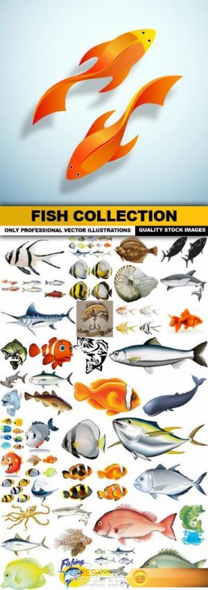 Fish Collection – 45 Vector