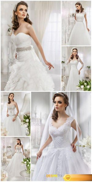 Bride in a beautiful luxurious wedding dress