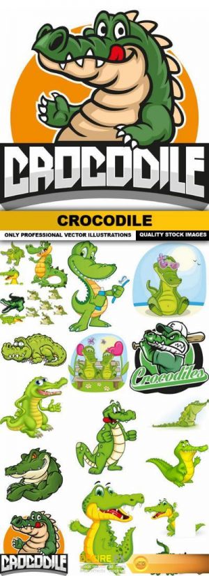 Crocodile – 20 Vector