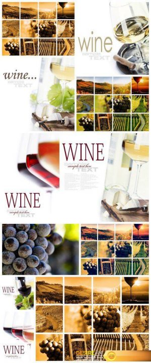Wines and vineyards collage 11X JPEG