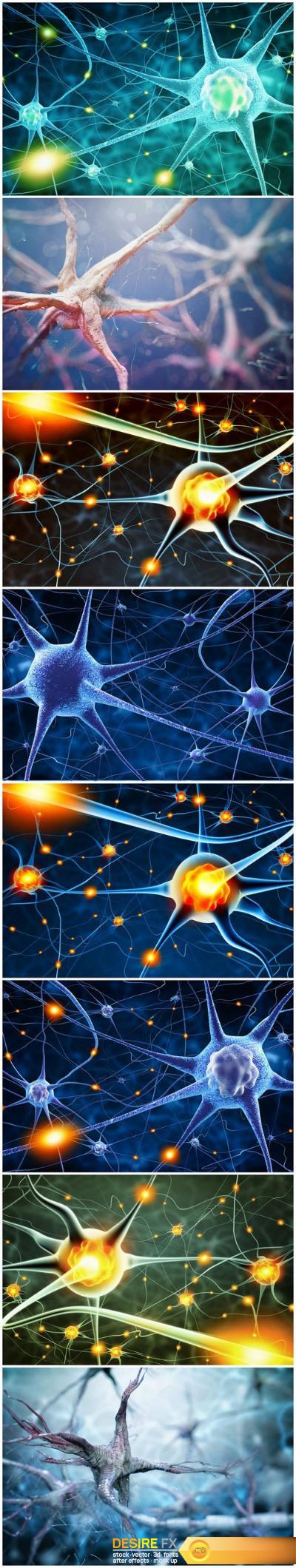 Active nerve cells – Set of 8xUHQ JPEG Professional Stock Images