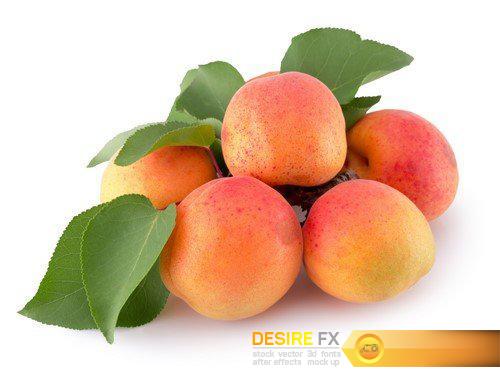 Apricots isolated on the white background 10X JPEG