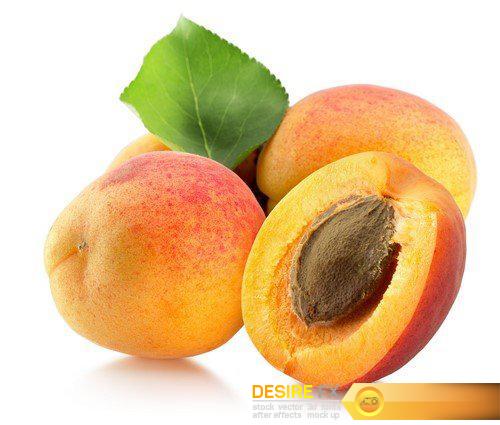 Apricots isolated on the white background 10X JPEG