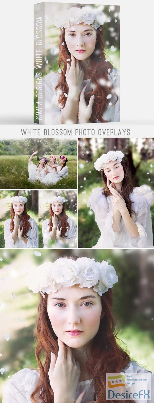 White Blossom Photoshop Overlays - 2266575