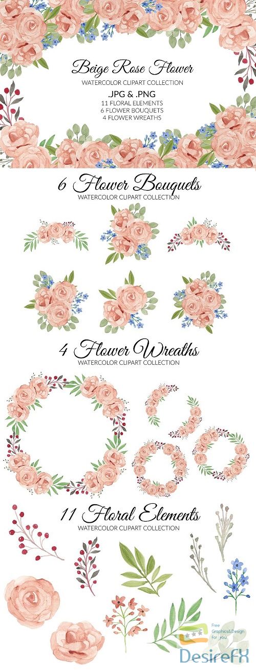 Beige Rose Flower Watercolor Clipart Collection - 515135