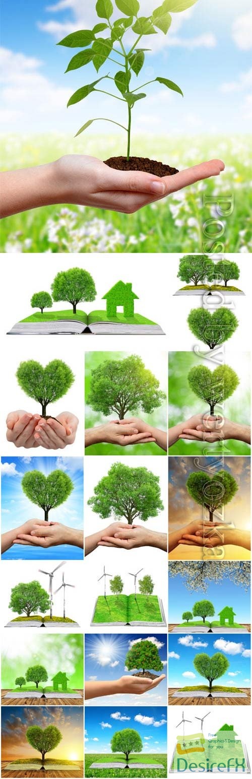 Green trees in hands, concept of nature and man stock photo