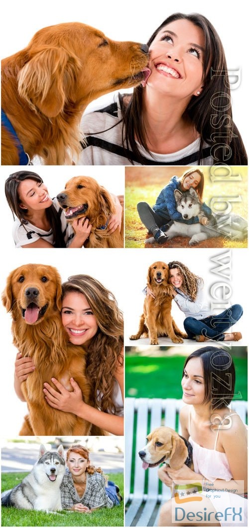 Women with dogs stock photo