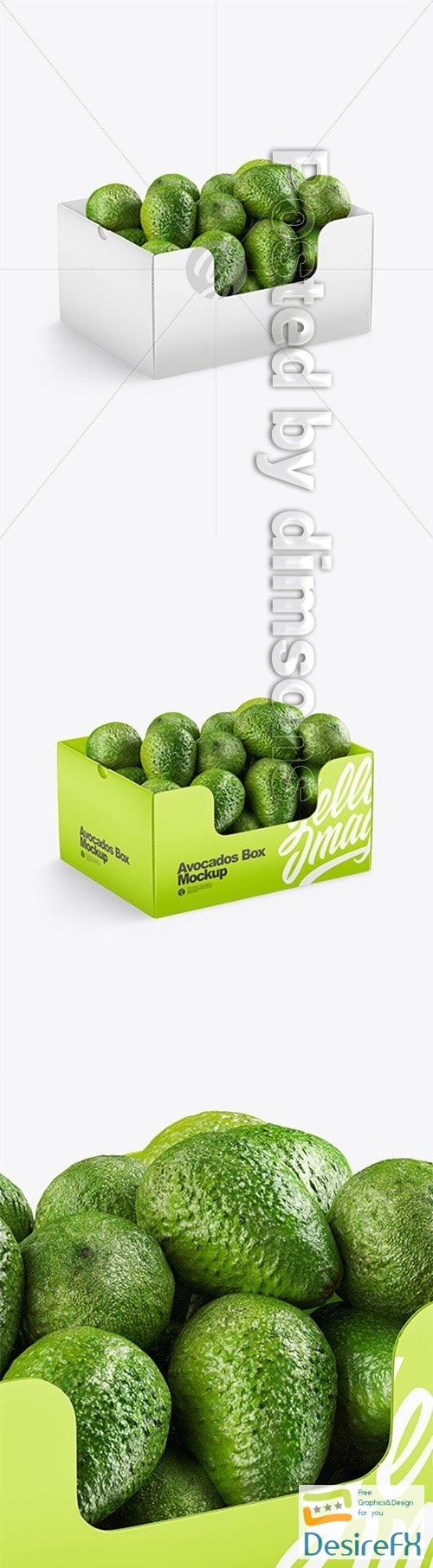 Box With Avocado 52650