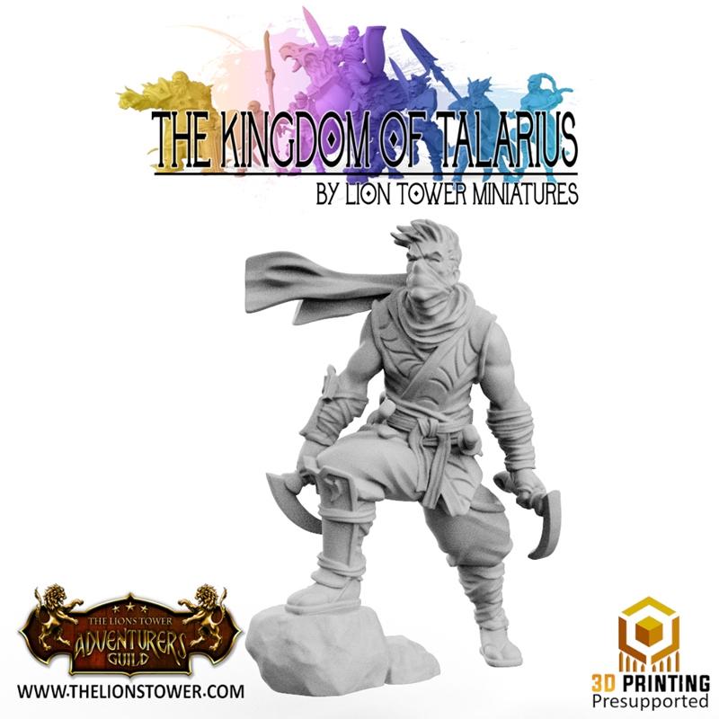 Kingdom of Talarius - Kotaro, Assassin – 3D Print
