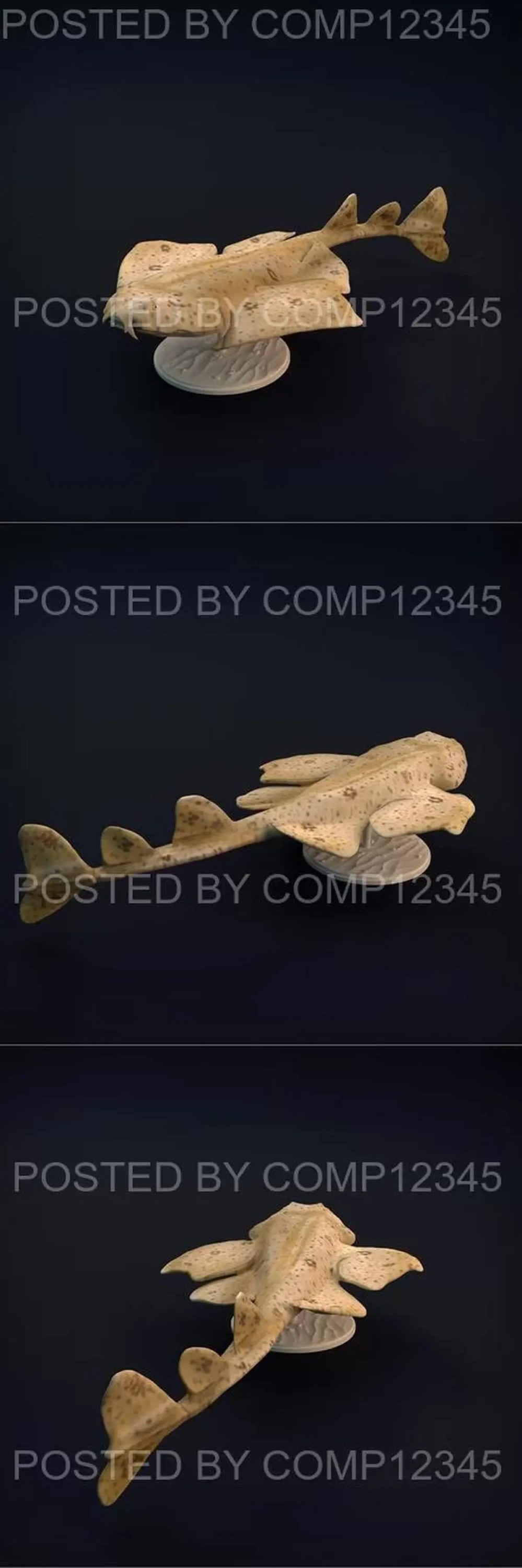 Angel Shark 3D Print