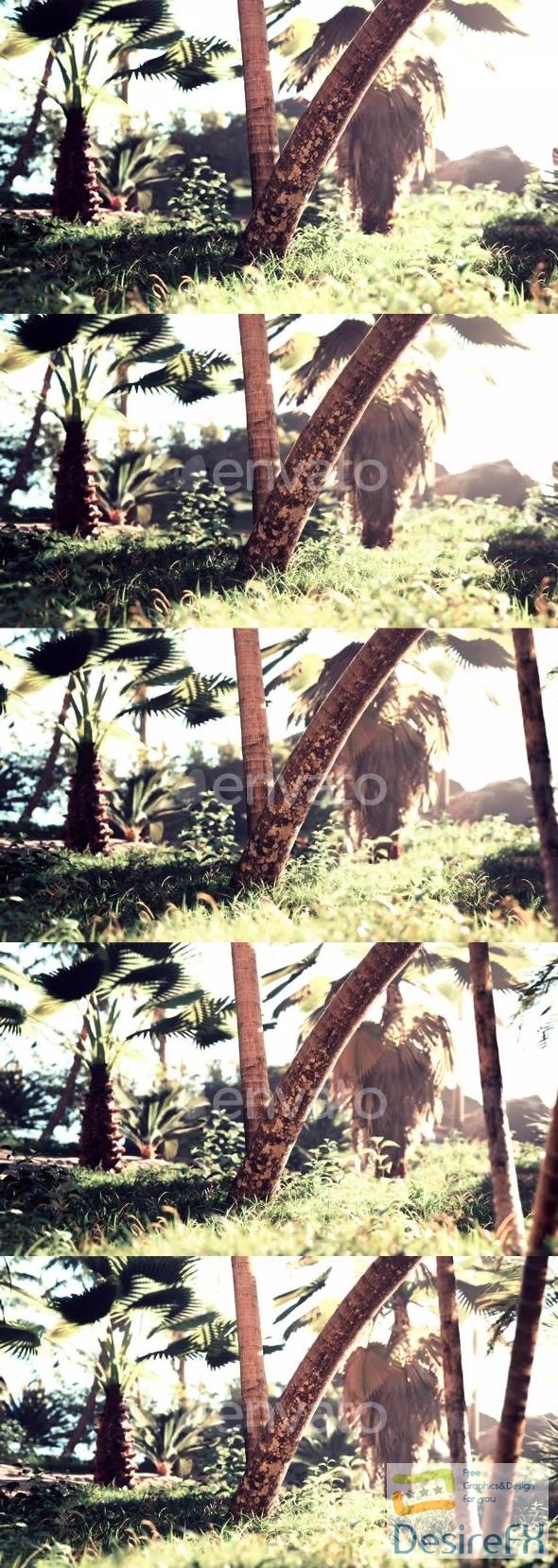 VideoHive Palm Oil Plantation and Morning Sunlight 47592662