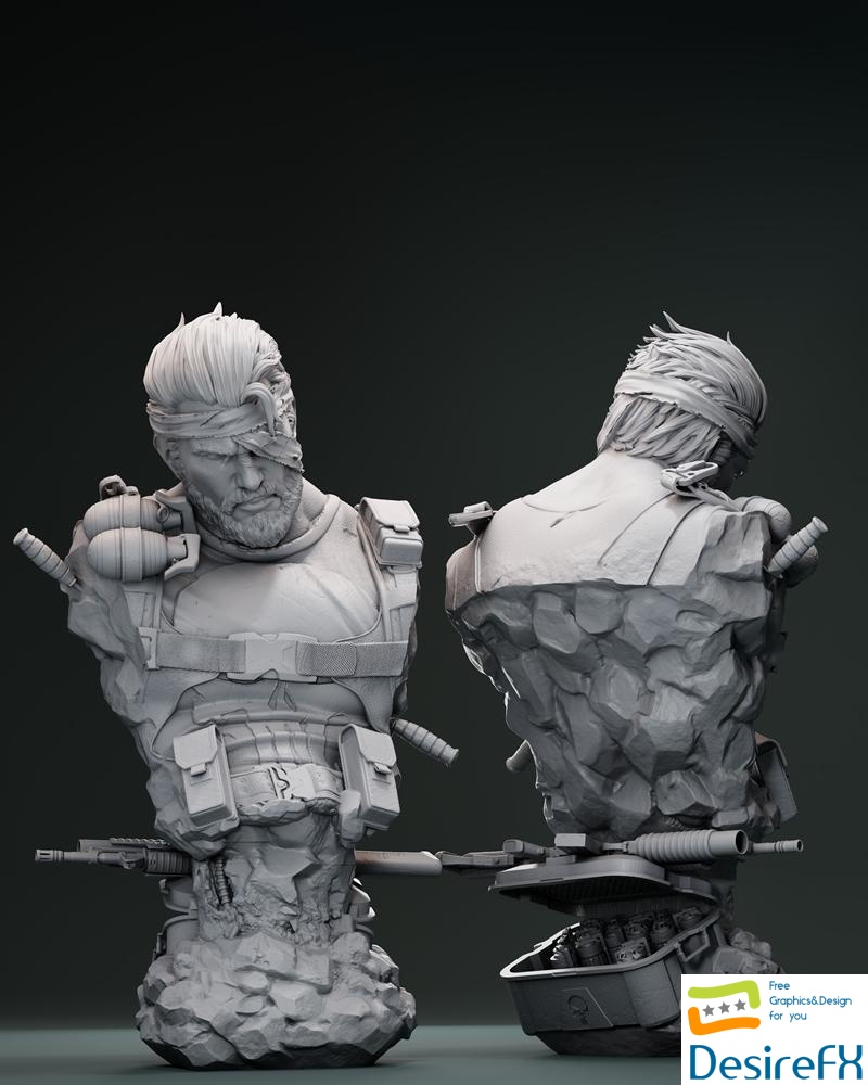 ZEZ Studios - Punisher bust 3D Print