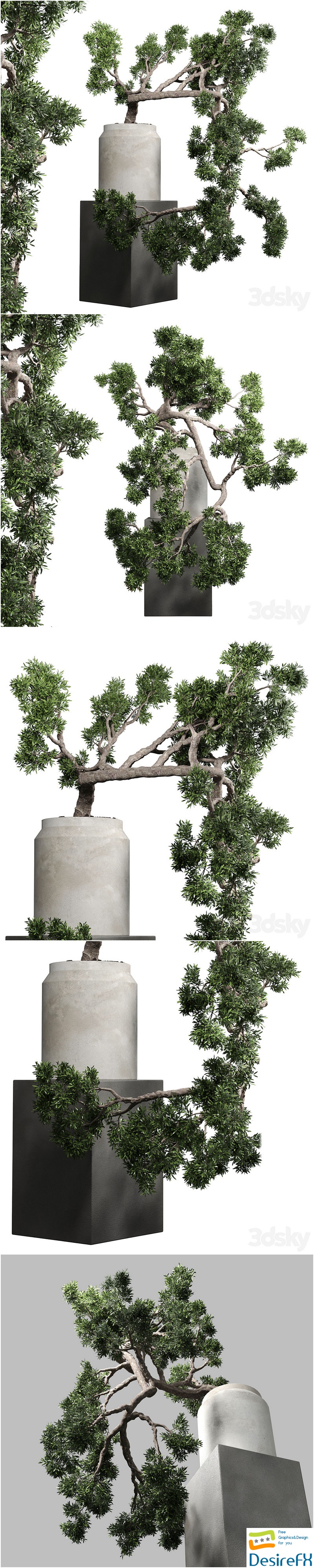 Bonsai tree vase old concrete dirt pot 3D Model