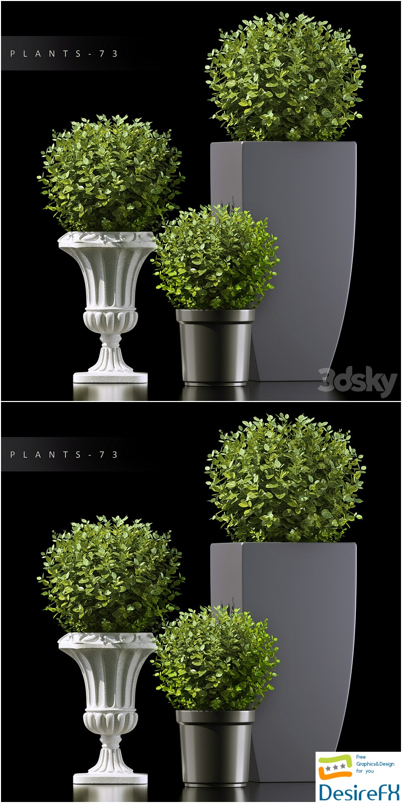 PLANTS 73 3D Model