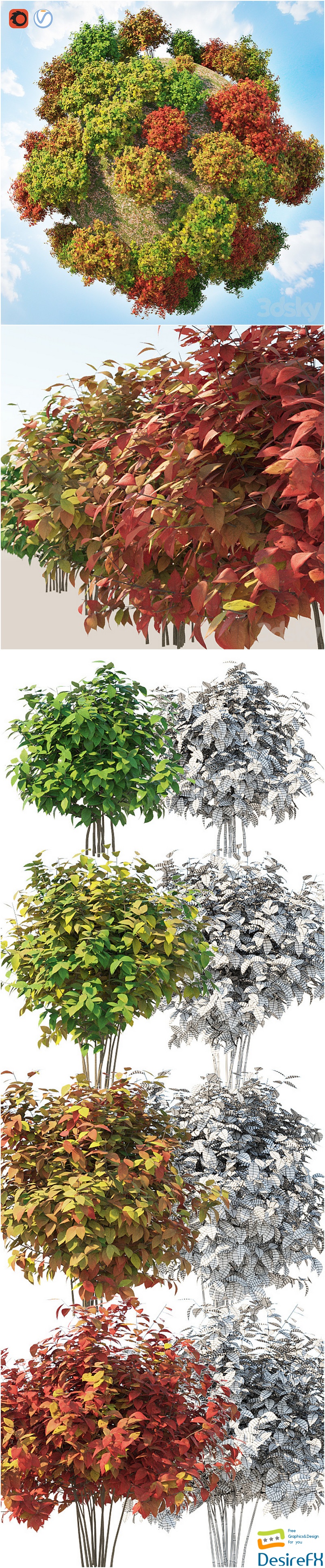 Set autumn bushes 3 3D Model