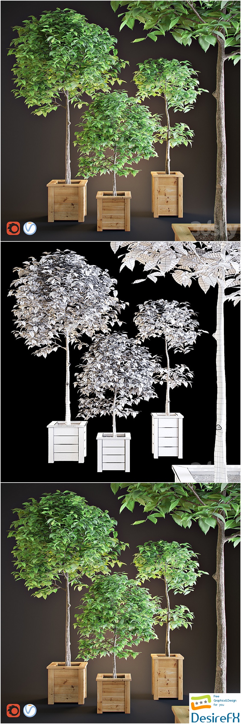 Three trees interior 3D Model